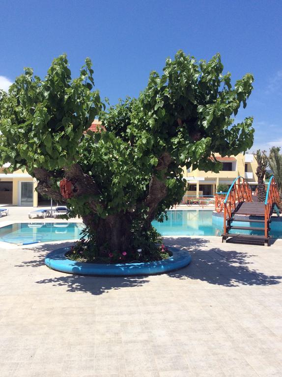 פליראקי Angelos Beach Hotel מראה חיצוני תמונה